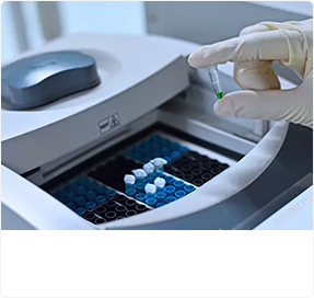 PCR and Quantitative PCR