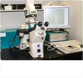 Laser Capture Microdissetion (LCM)