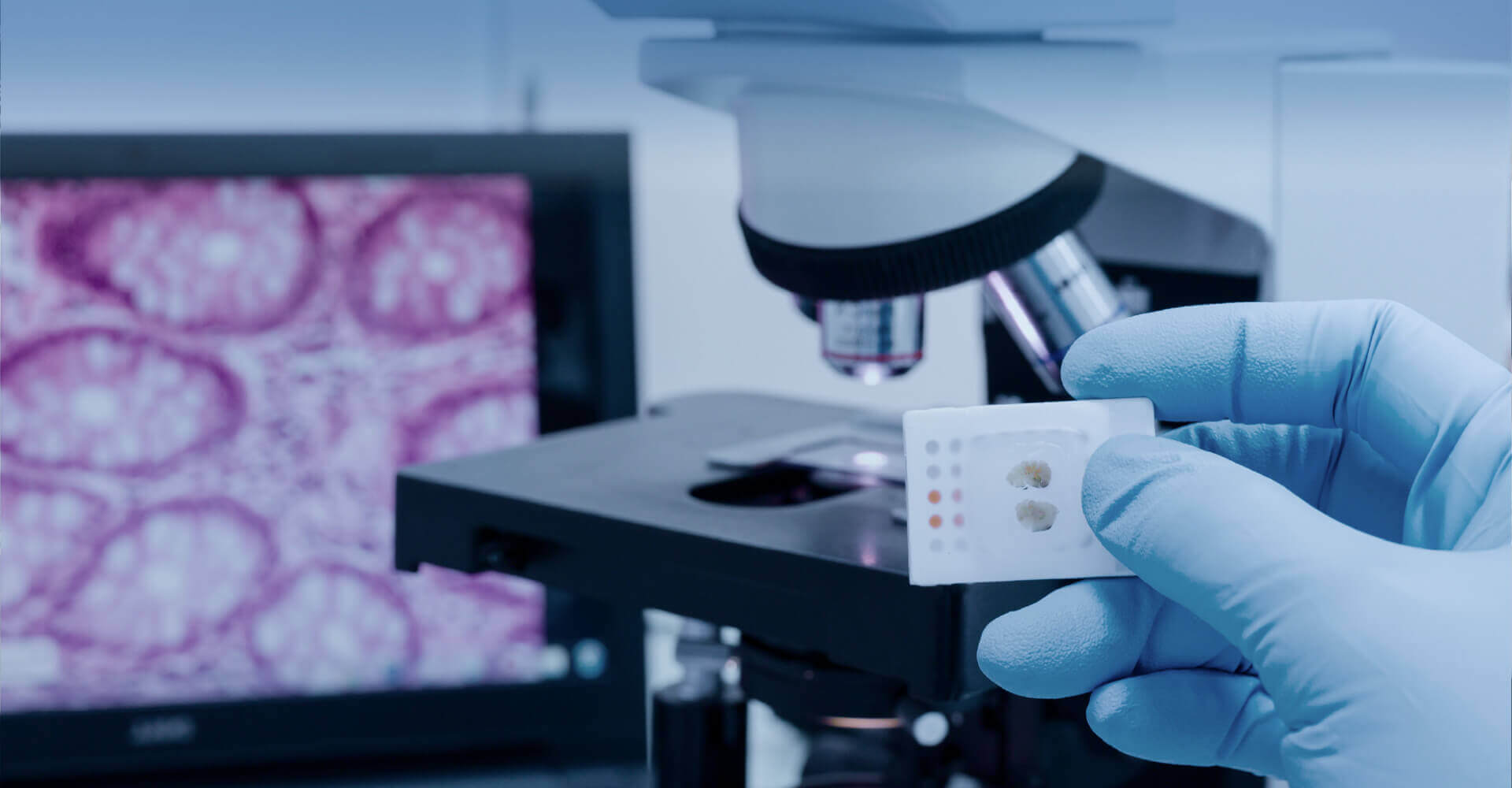 Cutting-edge Histology Research Platform