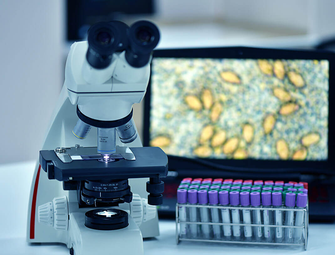Pathology Imaging