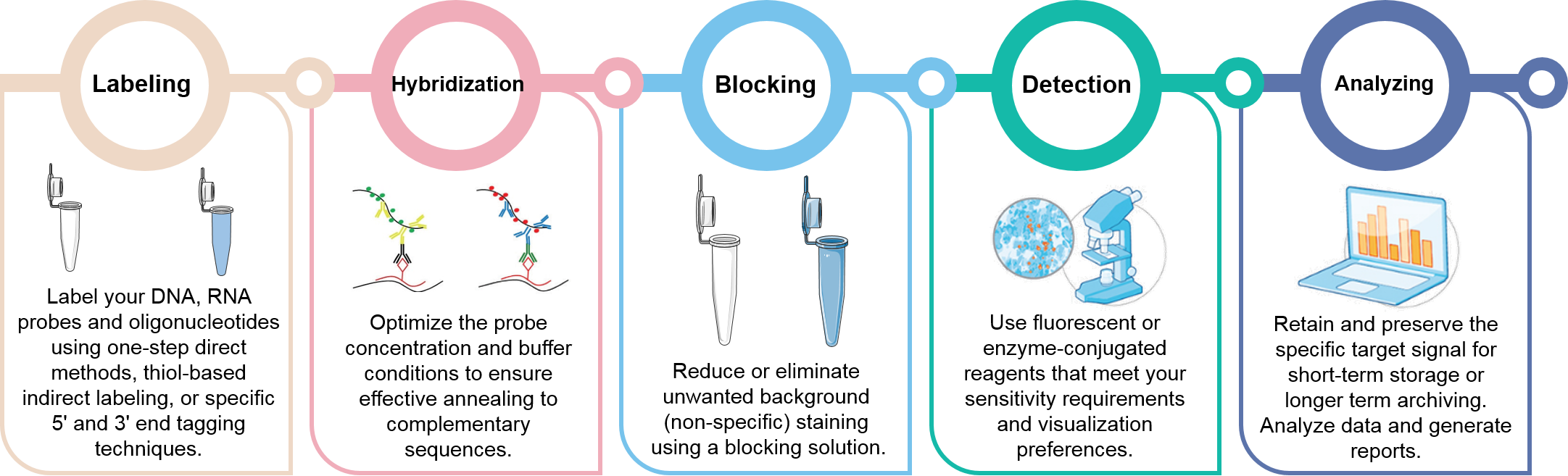 In Situ Hybridization (ISH)