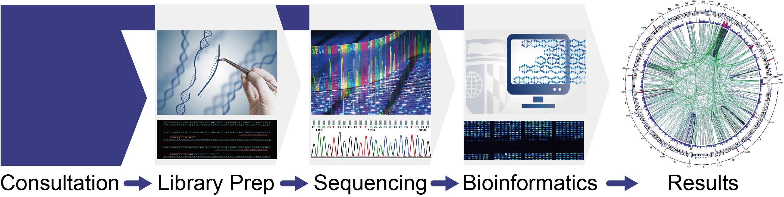 Next Generation Sequencing (NGS)