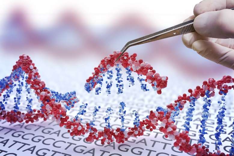 DNA vs. RNA Probes